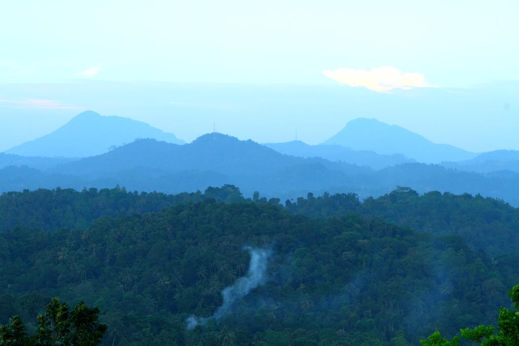 Delma Mount View Hotel Kandy Dış mekan fotoğraf